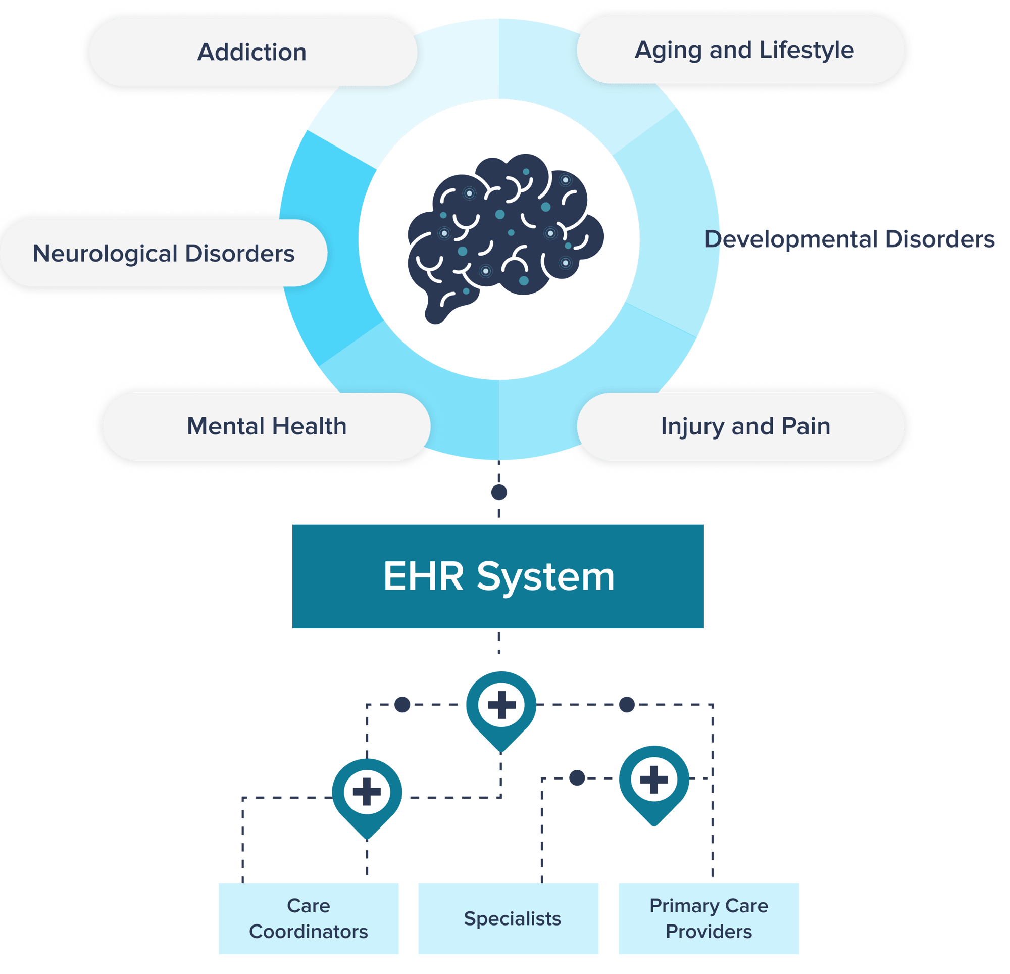 Access the whole brain-Oct-17-2025-05-46-39-1818-PM