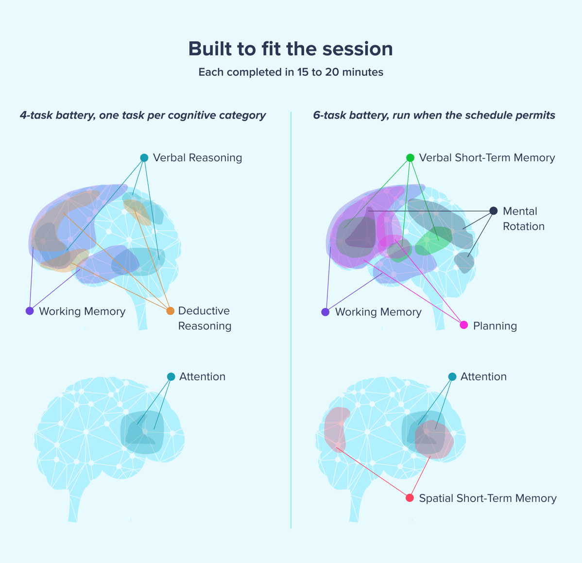 Brain Region-3