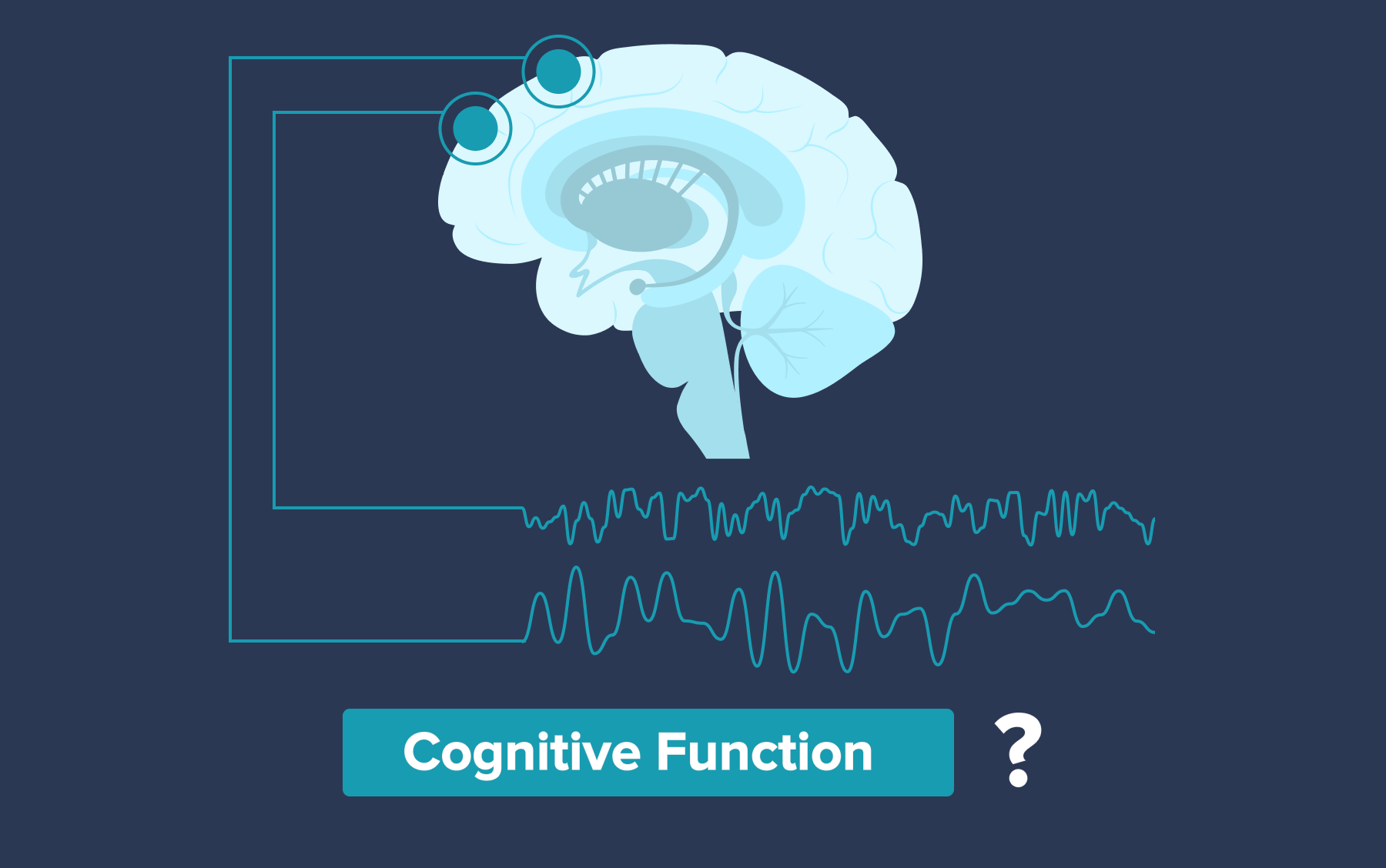 qEEG brain map versus cognitive function